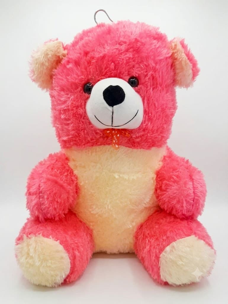 Big Plush Teddy Bear