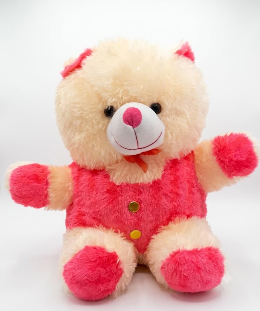 Small Plush Teddy Bear